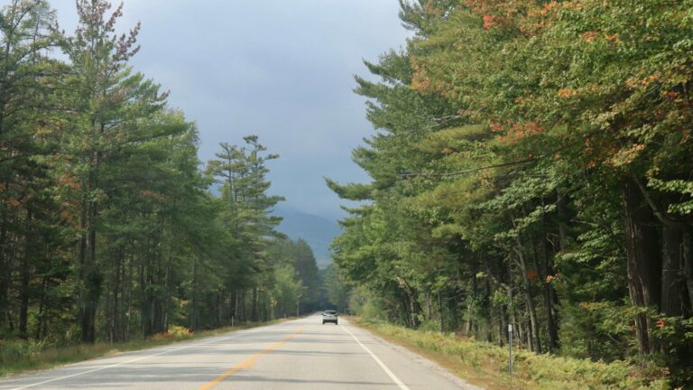 First Family Road Trip