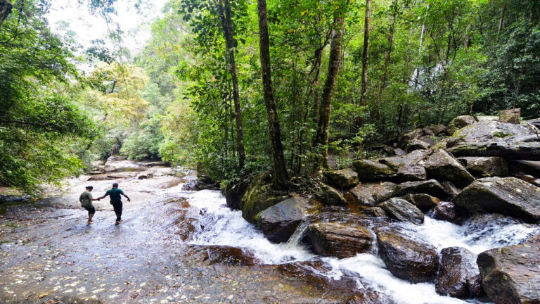 Sri Lankan Rainforest Trek