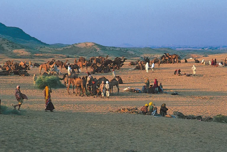 Living in Rajasthan