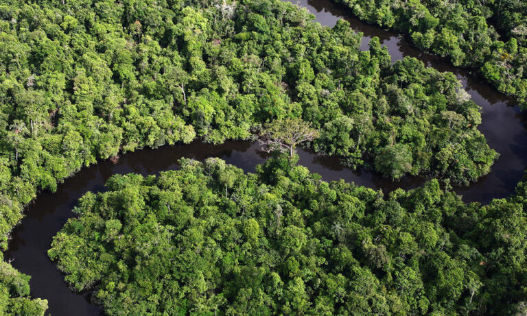 Lost in the Amazon